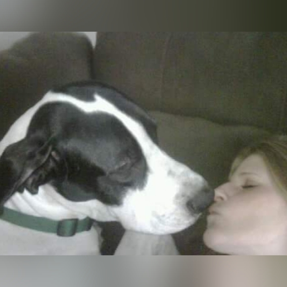 Meet your Posher, Bryn - Picture 16 of 17